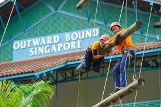 Participants on a high ropes course at Outward Bound Singapore